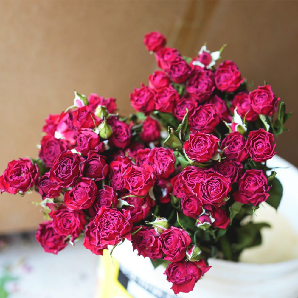Resin Art Rose - باقة من زهور الورد المجففة الطبيعية