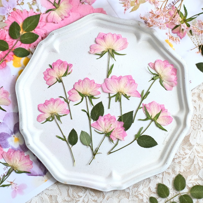Resin Art Baby - 12 قطعة، زهور مجففة حقيقية مضغوطة